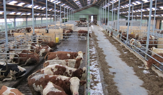 отопление фермерского хозяйства